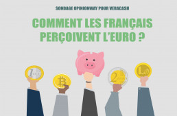 Sondage Opinion Way pour VeraCash - Comment les français perçoivent l'euro