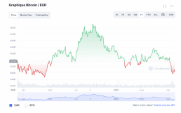 graphique montrant les fluctuations de la cryptomonnaie bitcoin