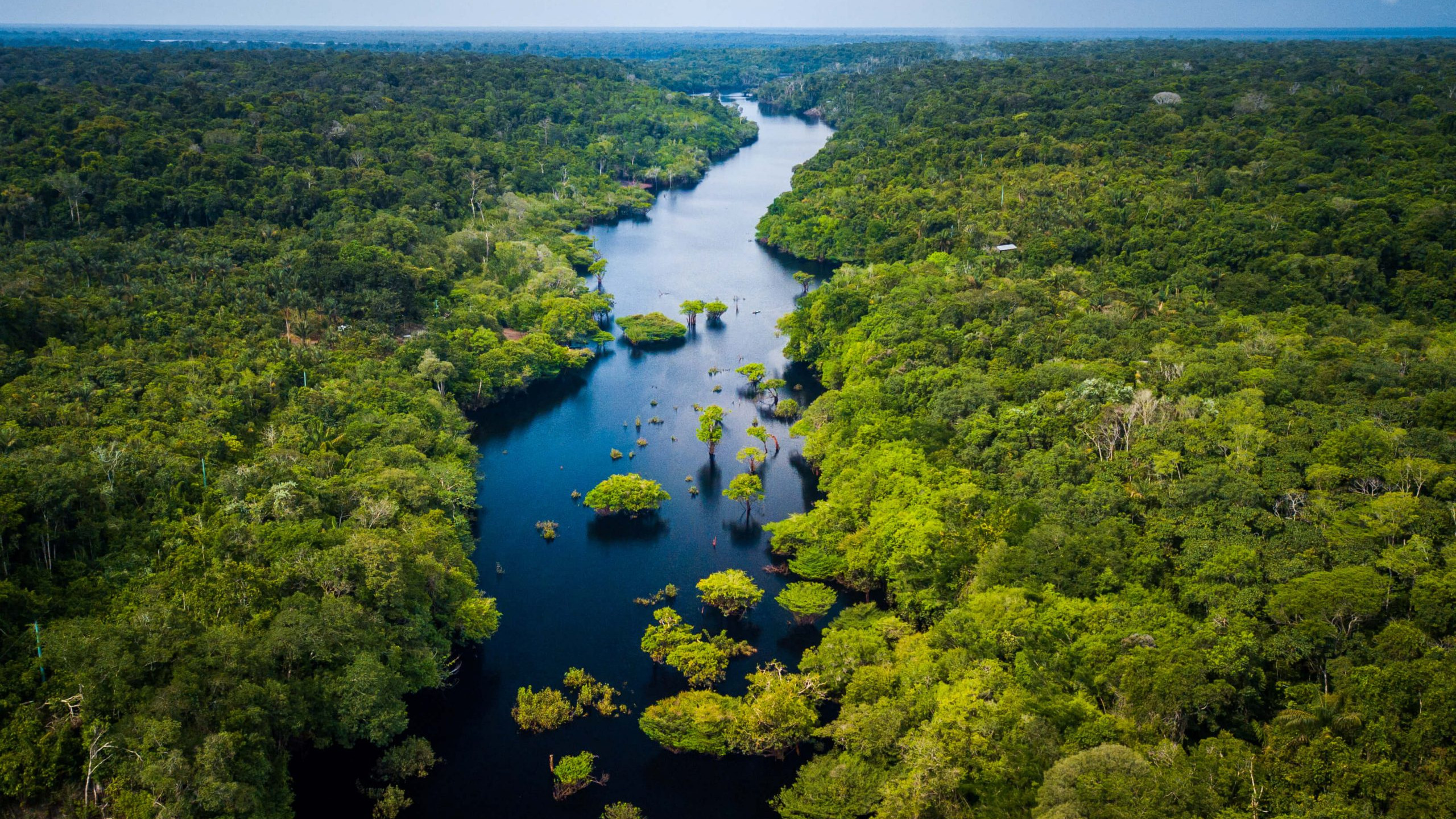 Forêt amazonienne vue du ciel
