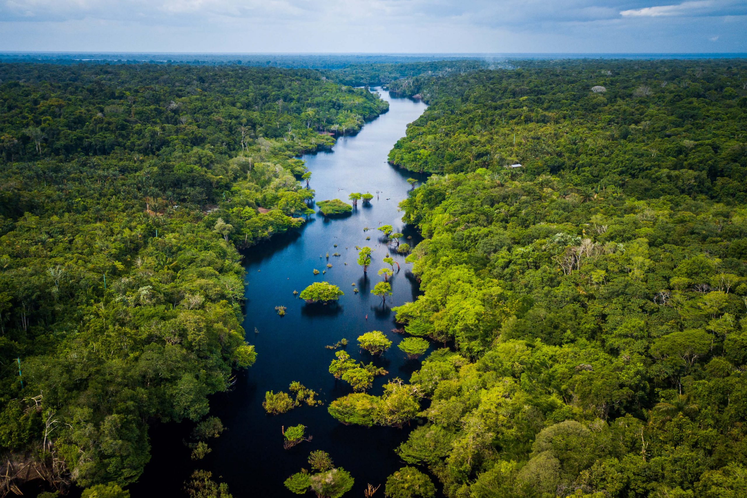 Forêt amazonienne vue du ciel