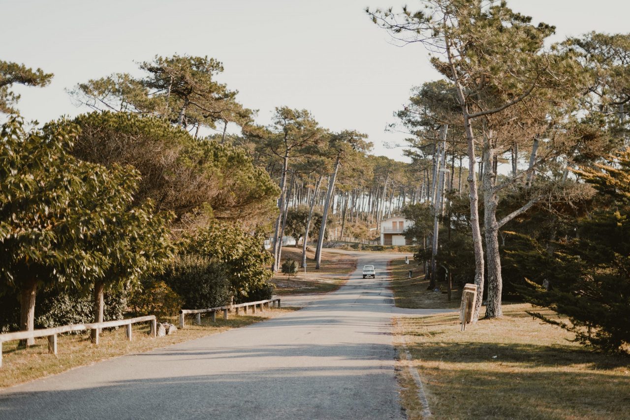 forêt comme l'une des valeurs refuges