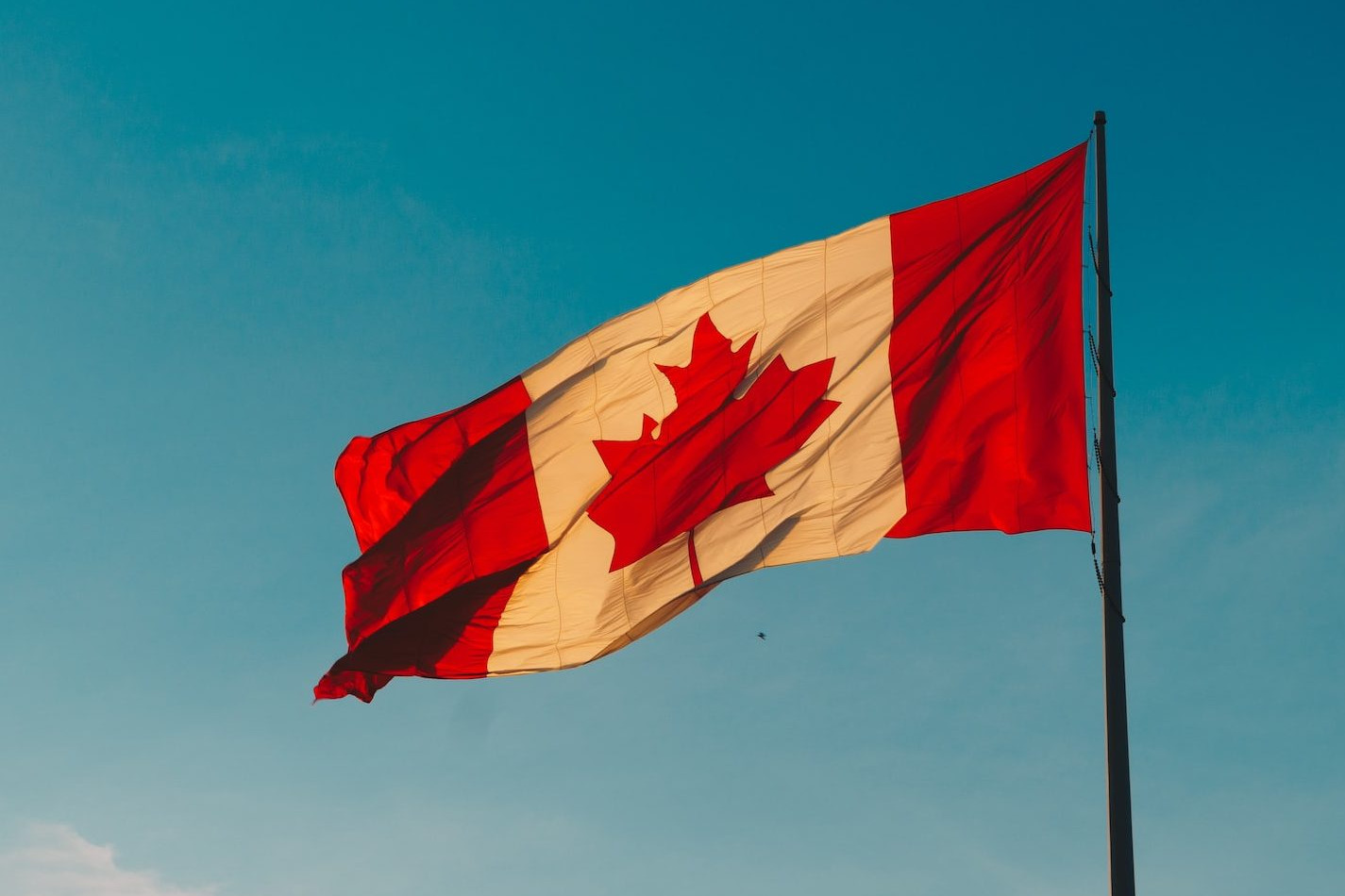 drapeau canada pris dans le vent