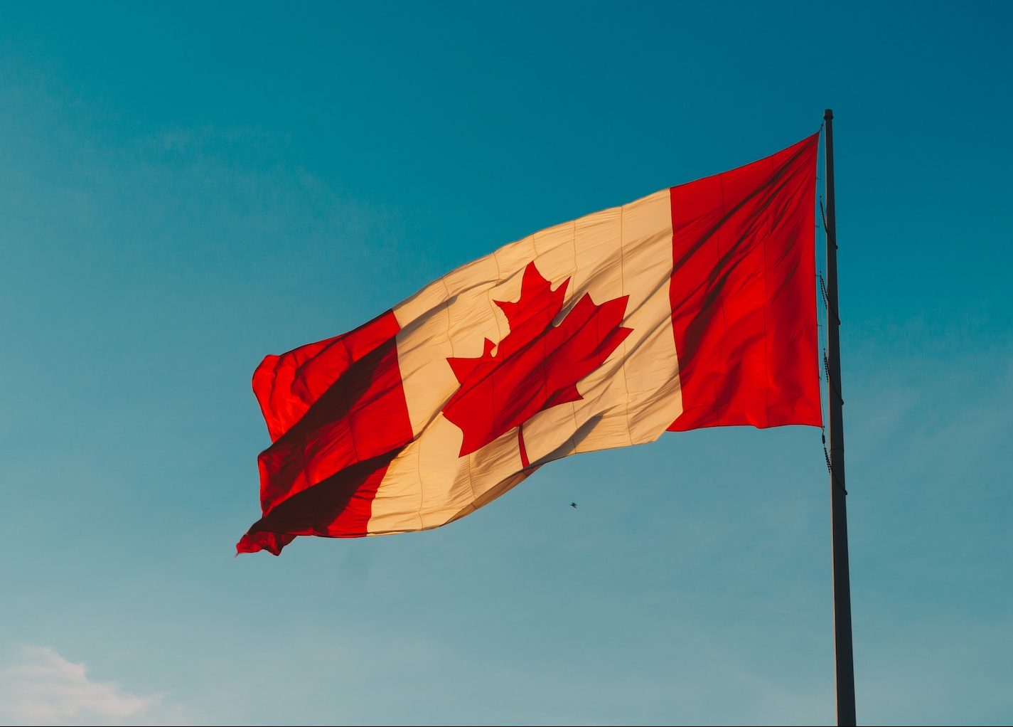 drapeau canada pris dans le vent
