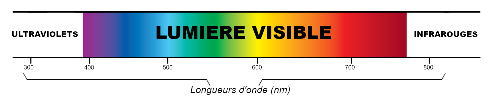 visuel du spectre lumineux