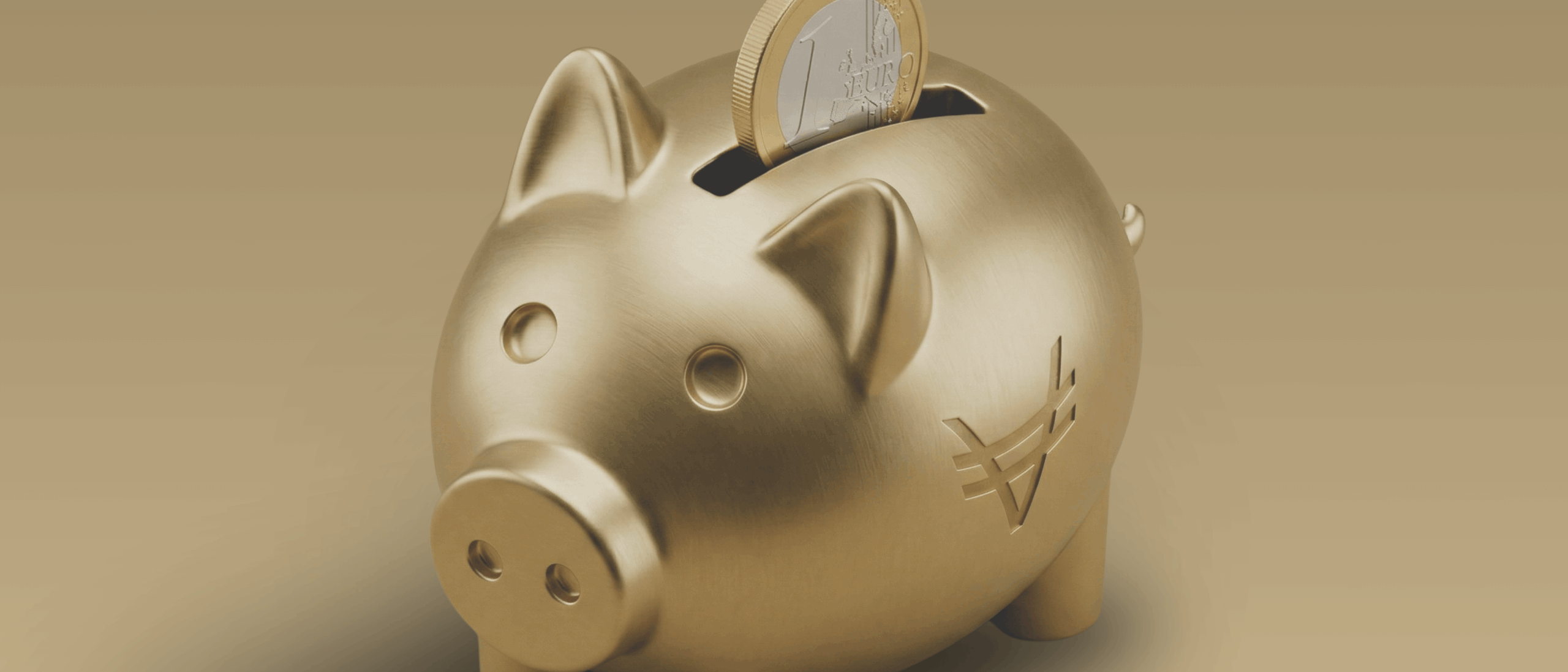 Veracash piggy bank